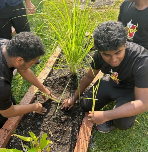 Peserta menanam herba sempena gotong-royong Minggu Transformasi Siswa.