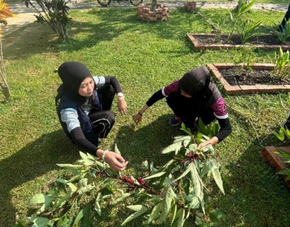 Peserta menjalankan aktiviti penjagaan tanaman di Taman Herba.